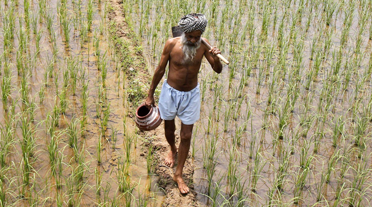 किसान