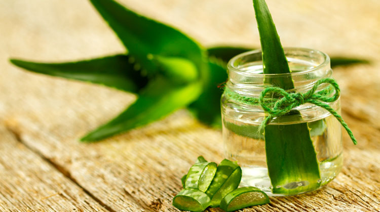 बालों में एलोवेरा फायदे aloe vera uses in hindi