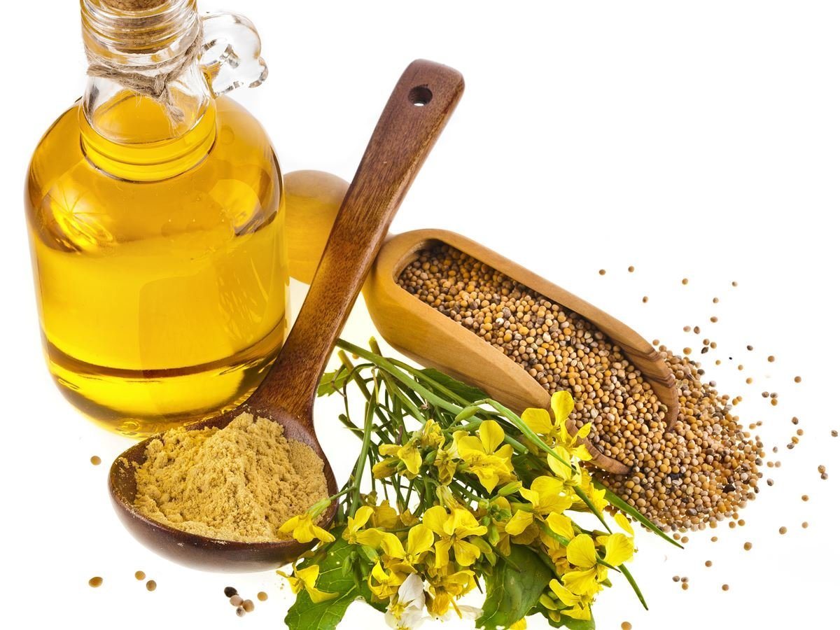 सरसों का तेल बालों के लिए mustard oil benefits in hindi