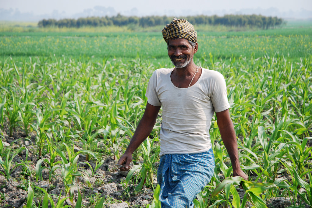भारत खेती निवेश संयुक्त राष्ट्र