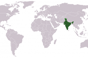 विश्व में भारत का योगदान