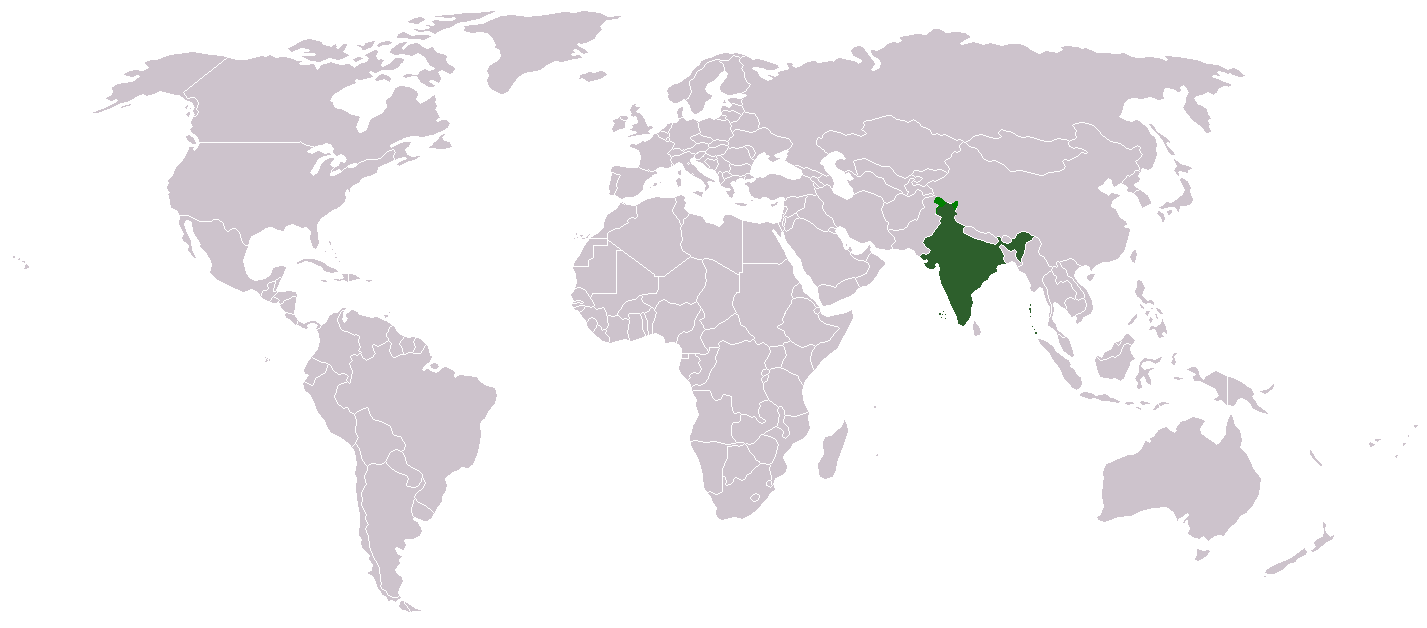 विश्व में भारत का योगदान