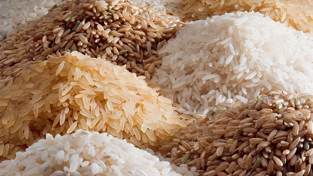 विभिन्न प्रकार के चावल