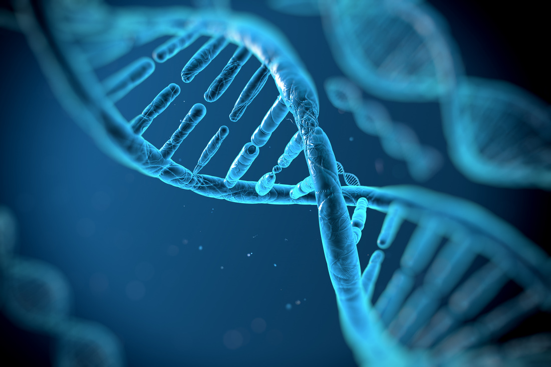 Image result for biotechnology