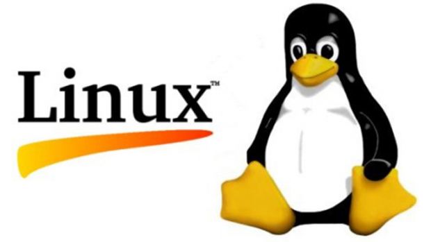लिनक्स (linux operating system in hindi)