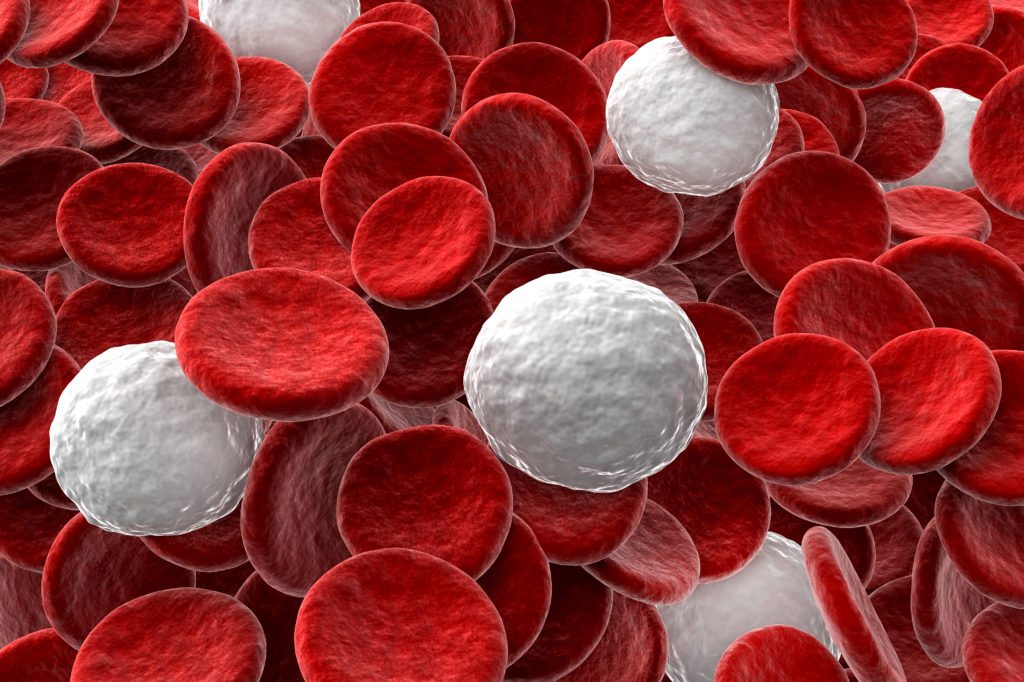 how to increase white blood cells in hindi