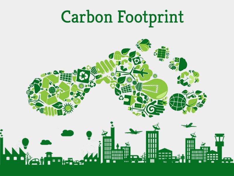 कार्बन फुटप्रिंट carbon footprint in hindi