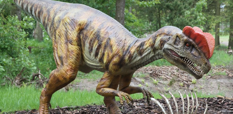 डायनासोर facts about dinosaur in hindi