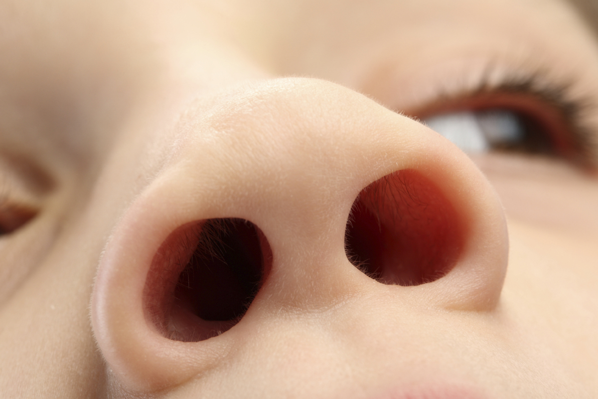नाक तथ्य facts about nose in hindi