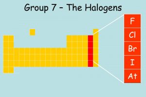 हैलोजेन halogens in hindi