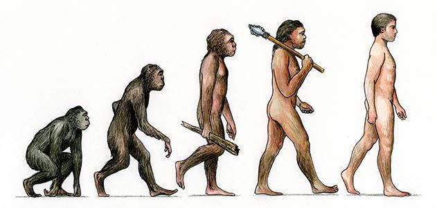 मानव विकास human evolution in hindi