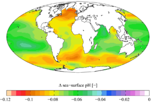 विश्व के महासागरों में अम्लीकरण का असर ocean acidification in world in hindi