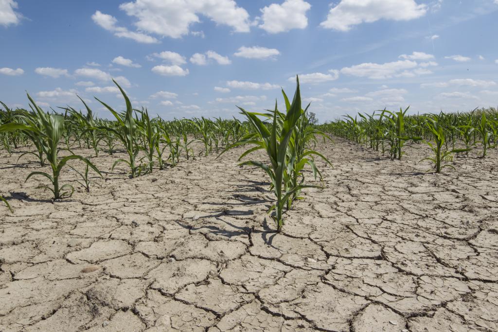 What Do You Mean By Soil Erosion In Hindi