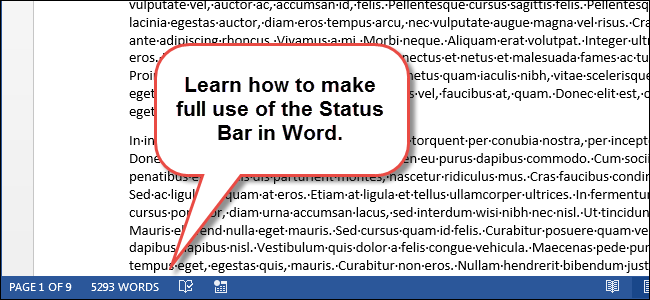 status bar use in ms word