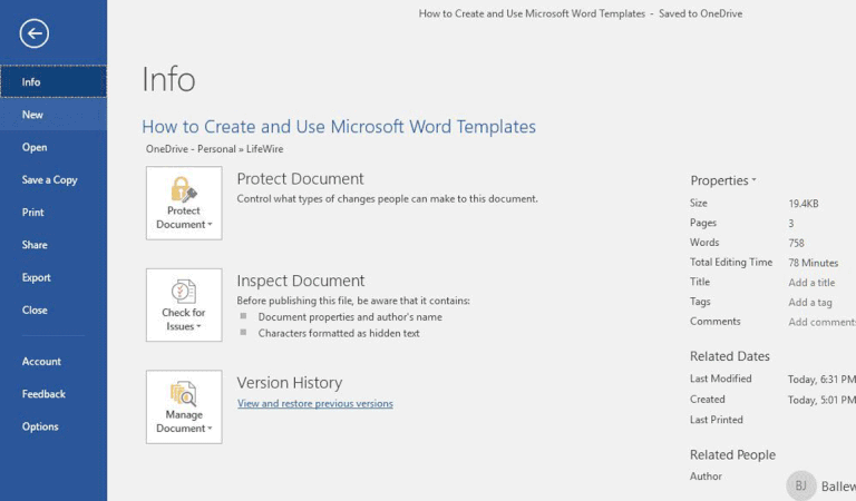 template in ms word in hindi