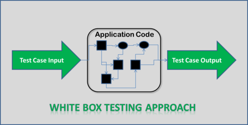 white box testing in hindi