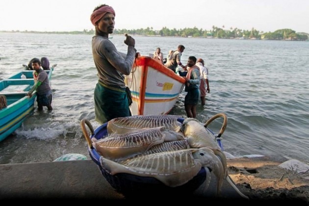 भारतीय मछुवारे