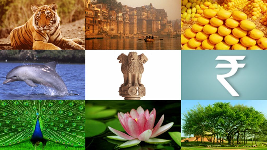 symbols of india
