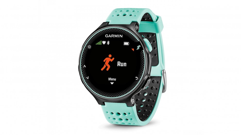 garmin