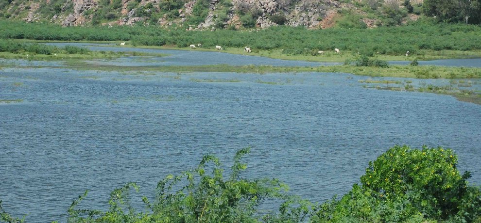 Badkhal Lake