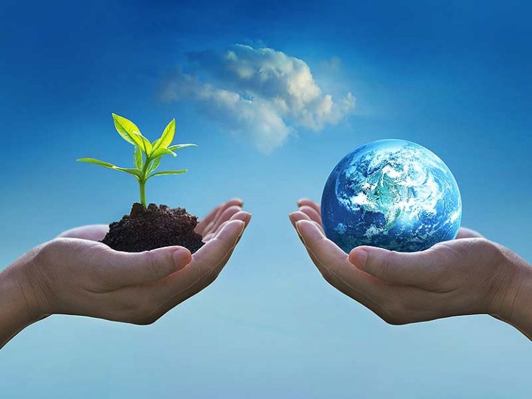 environment protection essay in hindi language