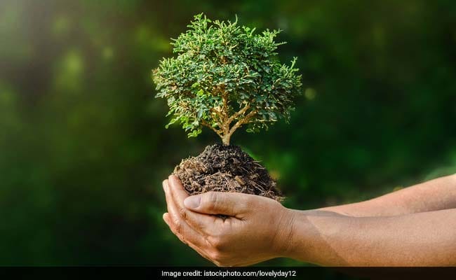 world environment day essay in hindi
