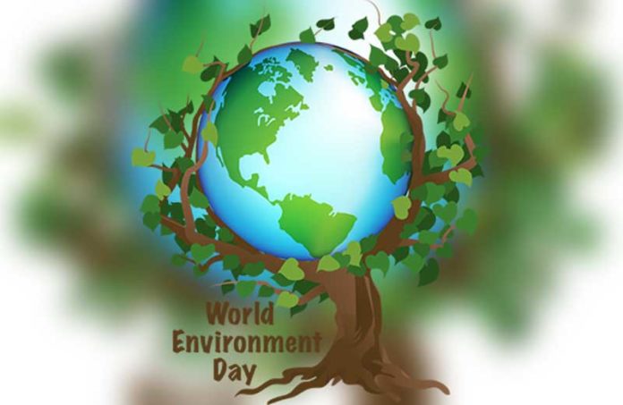 विश्व पर्यावरण दिवस पर निबंध, संरक्षण, इतिहास, हिंदी में ...