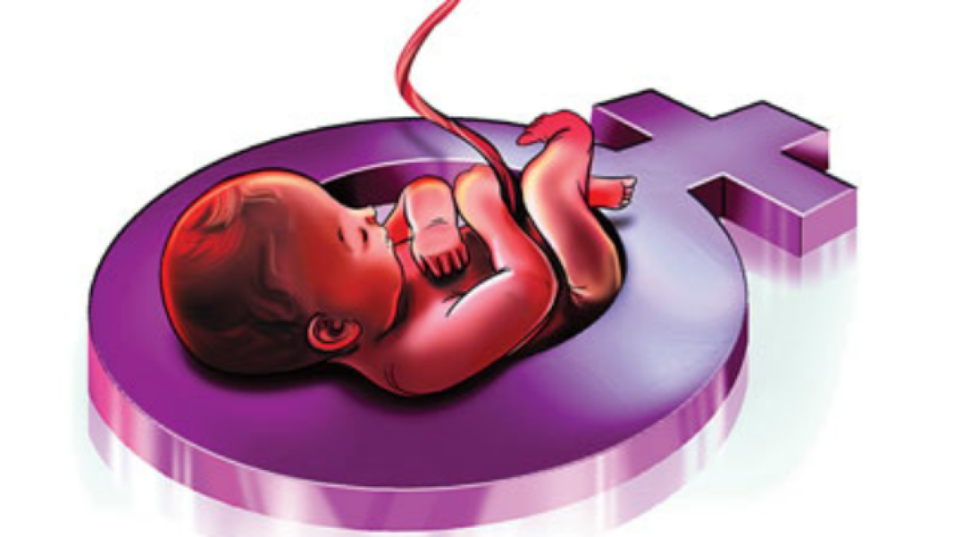 female foeticide essay in 100 words