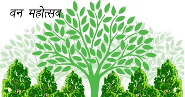 essay on van mahotsav in hindi