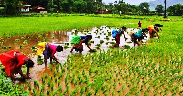 importance of agriculture in hindi