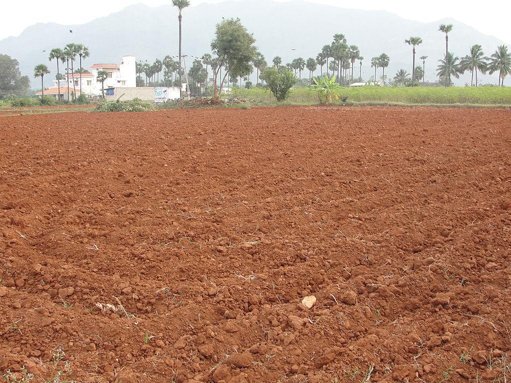 types-of-soil-in-india-in-hindi