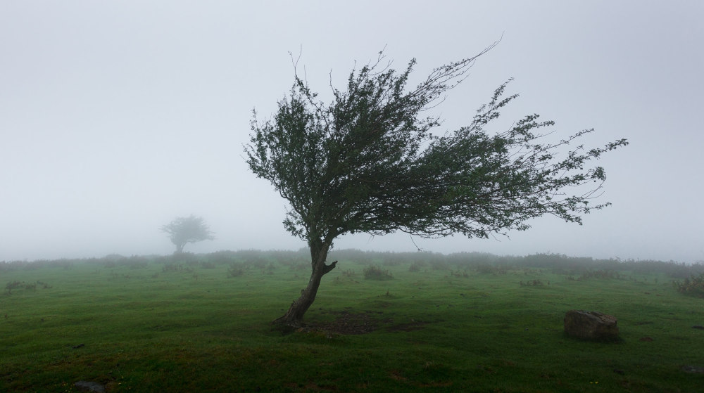 wind-poem-summary-in-hindi-class-9-english-beehive