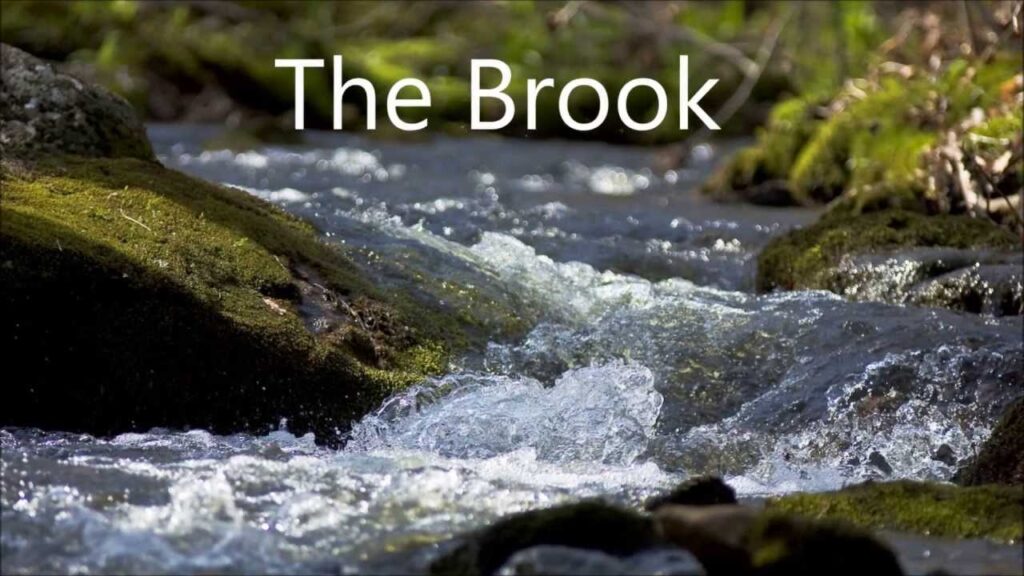 The Brook summary in hindi, Class 9 full poem explanation, english