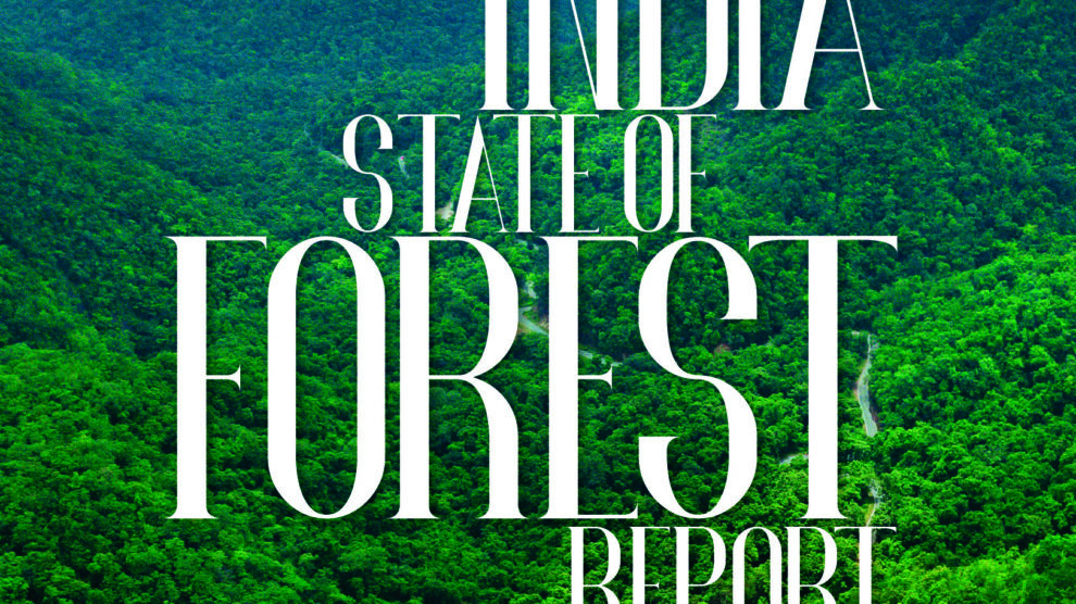 देश मे हरियाली में फ़िर दर्ज की गई बढ़ोतरी, इंडिया स्टेट ऑफ फॉरेस्ट रिपोर्ट-2021