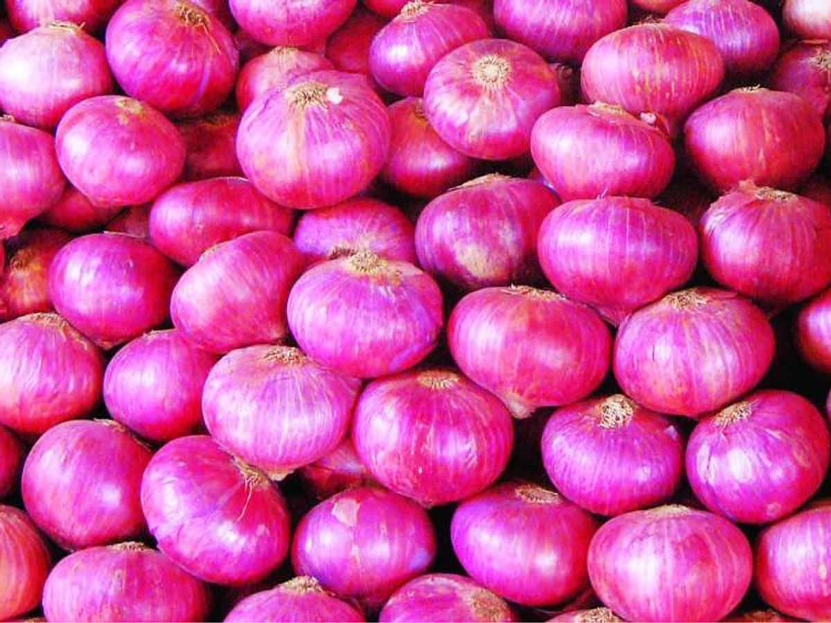 Onions Price Crashed