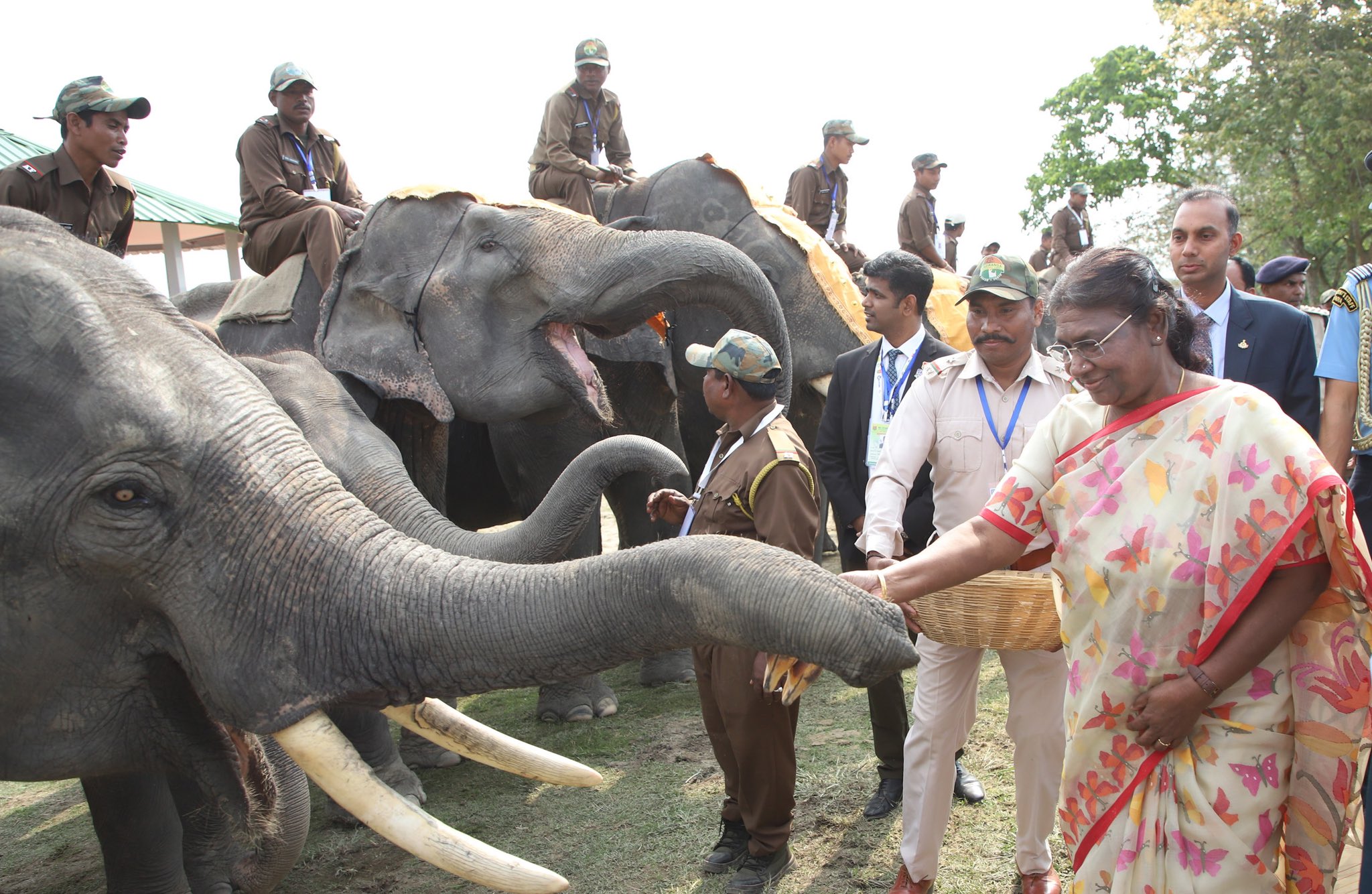 असम: राष्ट्रपति द्रौपदी मुर्मु ने काजीरंगा राष्ट्रीय उद्यान में गज उत्सव-2023 का किया उद्घाटन
