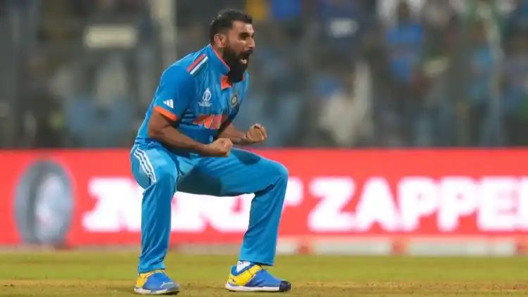 World Cup Final 2023: Indian Pacer Mohammad Shami's performance will be crucial for India. 